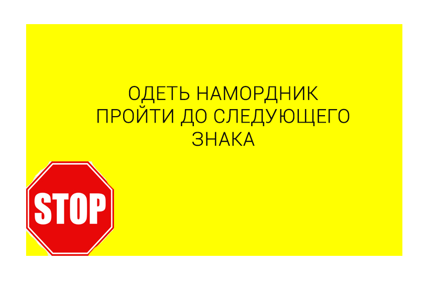  НАМОРДНИК.jpg